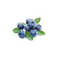 Capella Blueberry