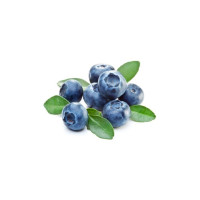 Capella Silverline Blueberry Extra