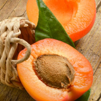 The Flavor Apprentice Apricot