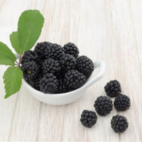 The Flavor Apprentice Boysenberry